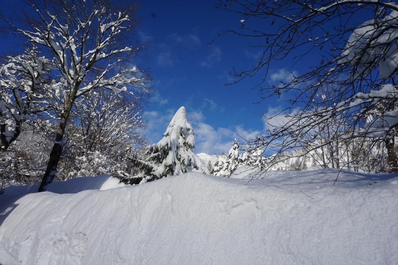 Haus Sonnenblick Hotell Bayrischzell Exteriör bild